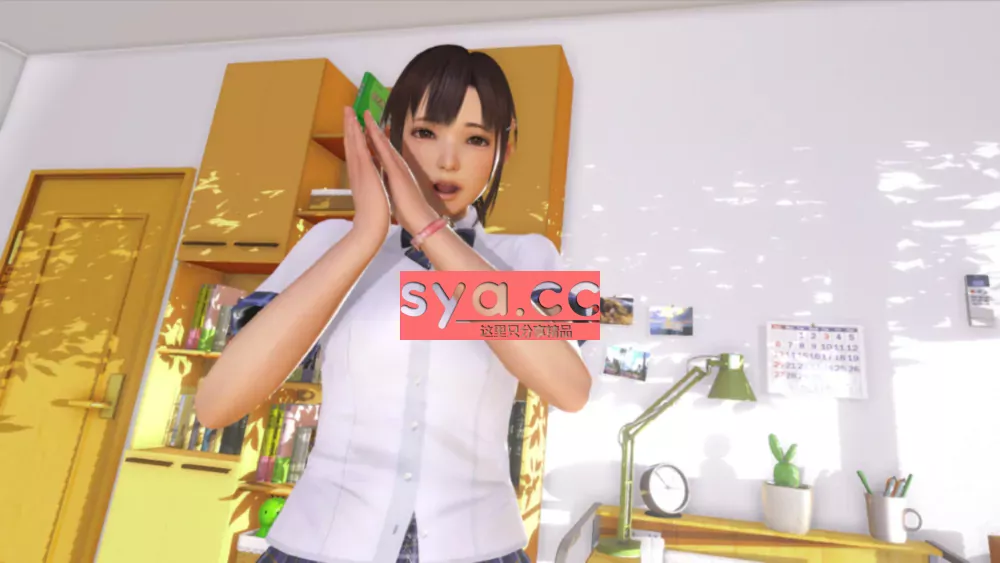 VR女友VR Kanojo存档