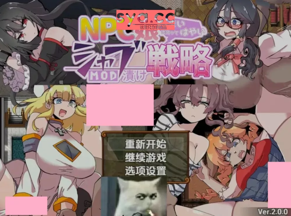 【PC/Android/iOS】NPC女孩对策 — 轻松又有趣的NPC互动RPG 80%推荐