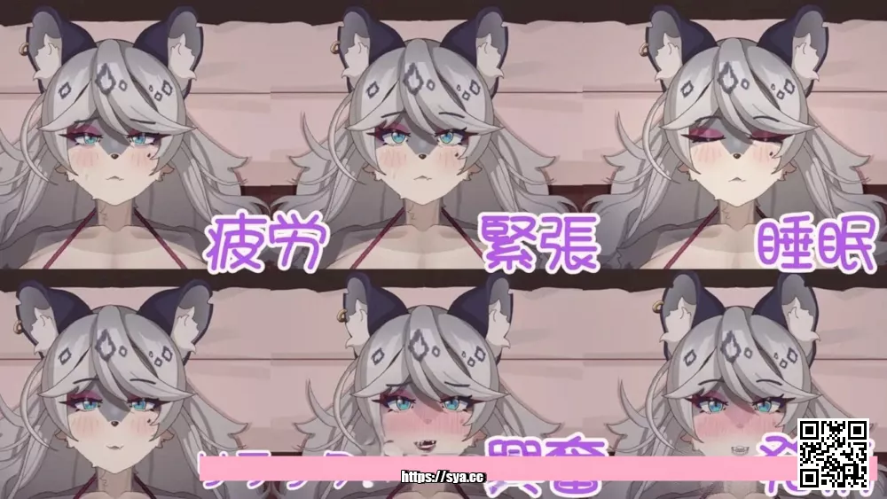 与雪豹的治愈时光攻略