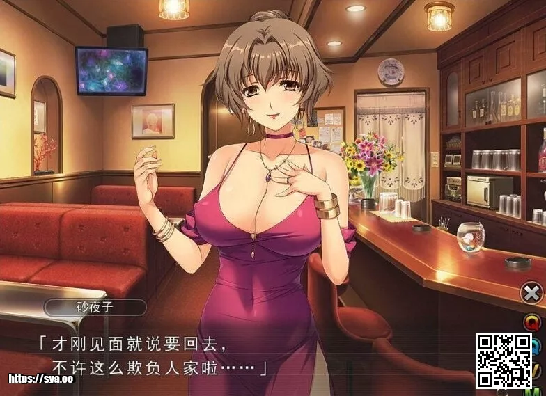 妻中蜜三部全+外番合集存档