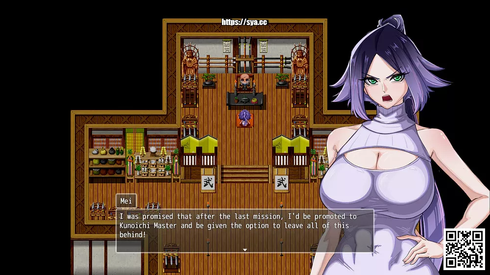 堕落女忍:寝取隐村/Fallen Kunoichi存档